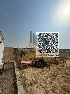 🌴 Rare Investment Opportunity | Two Large Farms in Al Hamraniya – Ras Al Khaimah 🌟
