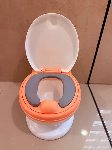 Potty Training Toilet Seat