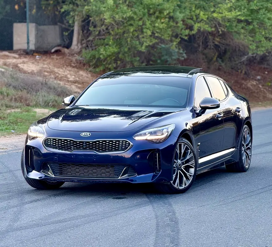 Kia Stinger 2019 — photo 1 of 15