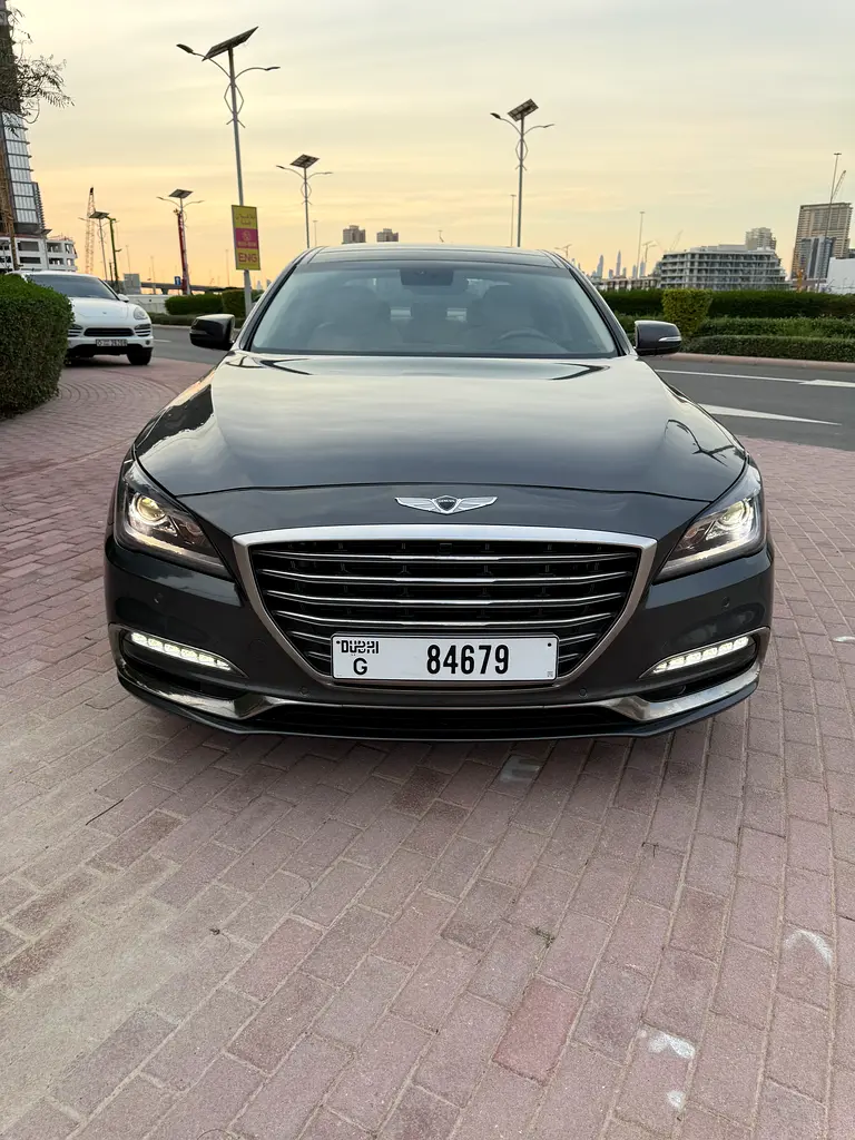 Genesis G80 2019 — photo 1 of 20