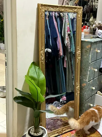Elegant Full-Length Mirror