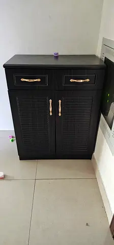 Elegant Black Cabinet with Double Doors for keeping shoes