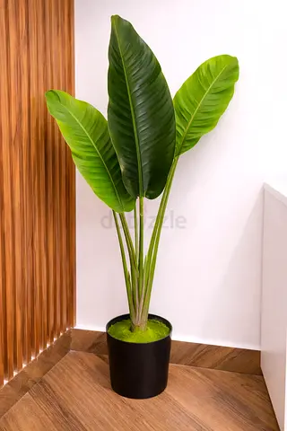 My tall potted artificial Bird-of-Paradise plant