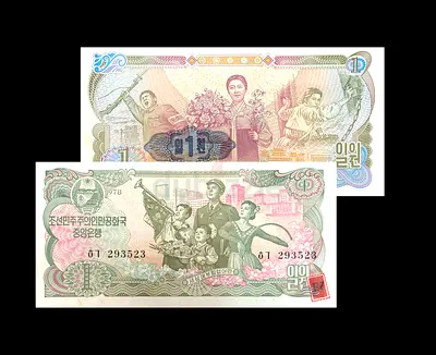 North Korean Currency Banknotes Collection