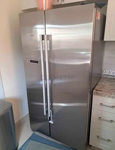 Siemens iQ700 side by side fridge digital model