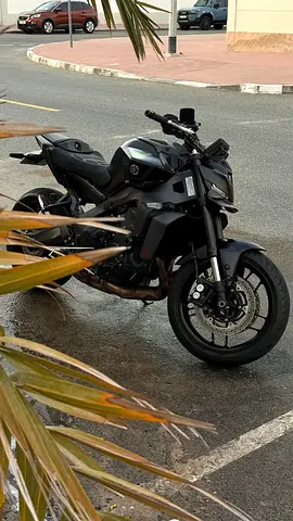 Yamaha MT-09 2025 GCC 900cc 117 hp