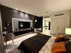 Upgraded Fully Furnished / Spacious Studio