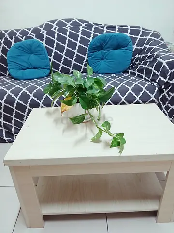 Small table or coffee table