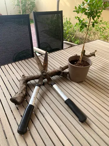 Garden Scissors/Hedge Shears Heavy Duty
