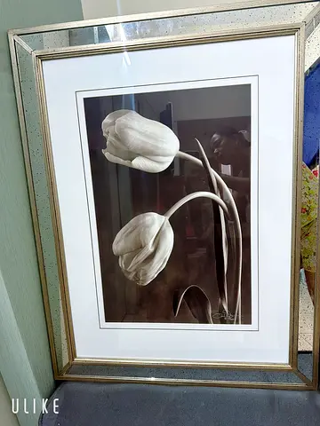 Luxury Framed sepia tulip  sepia fine art in expensive mirror frame.Price 380 each or 680 for t