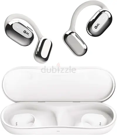 Wireless ear-hook earbuds with charging case