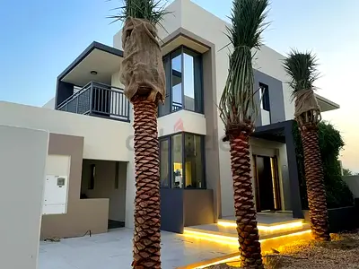 Premium 3m Clear Trunk Date Palm – Mature Phoenix dactylifera UAE