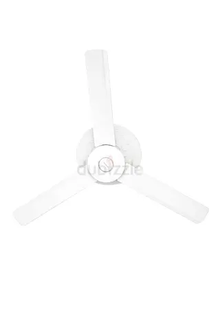 Ceiling Fan for Sale