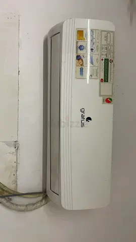 الشارقة القاسمية المناخ