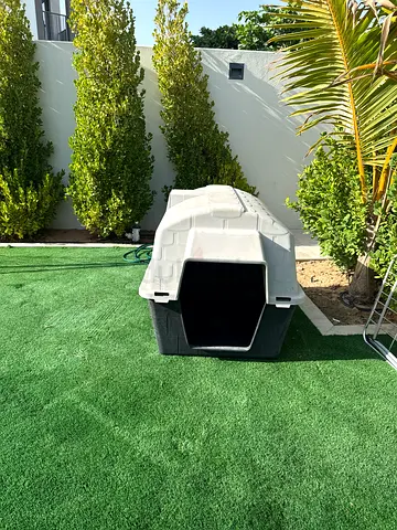 Dog house