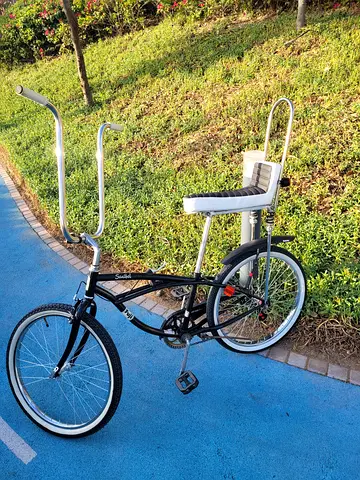 One of one custom bike size 24