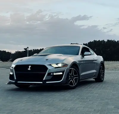 PREMIUM EDITION || V4 || NOT FLOODED