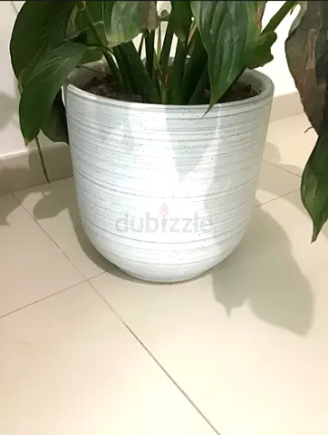 Large striped ceramic plant pot