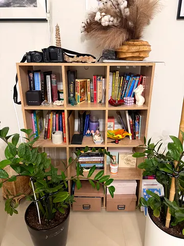 Stylish Brown Bookcase with 6 Shelves
