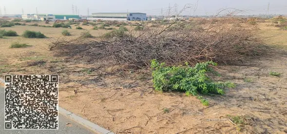 🏗️ STRATEGIC INDUSTRIAL LAND FOR LEASE – PRIME LOGISTICS HUB