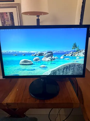 Samsung 22-inch LED Monitor