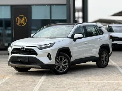 2024 Toyota Rav 4 XLE Hybrid - Chinese Specs - Brand New!