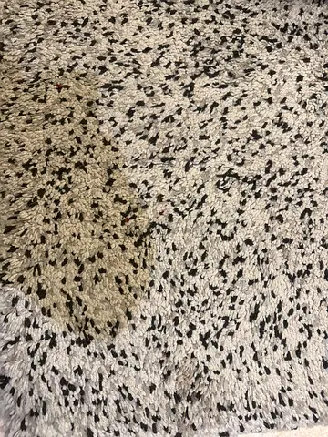 Modern Rug – 230 x 170 cm
Black  white design, soft and stylish. Good condition.