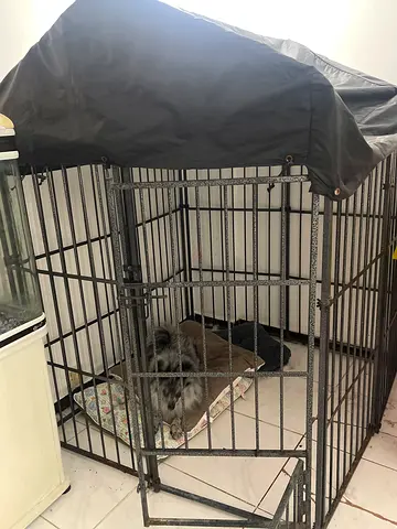 Pet dog Cage for Sale
