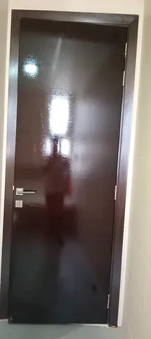 Appartment painting ,door,