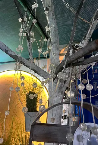 LED decorative string lights - clear round bulbs