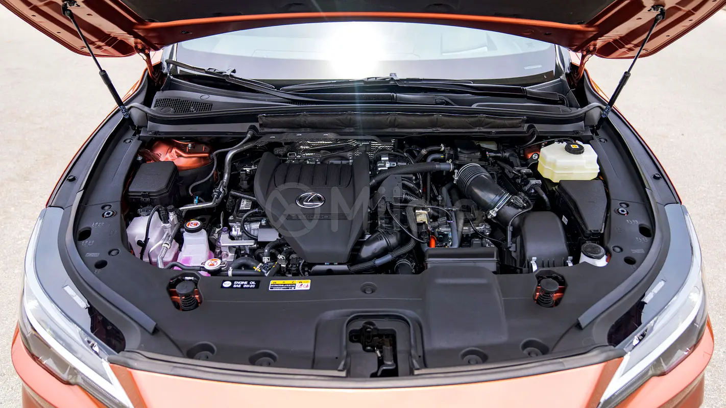 gallery-image