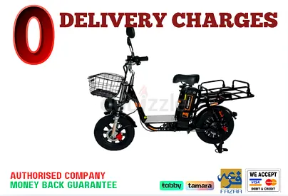 Kugoo Electric Scooter - V3 Pro