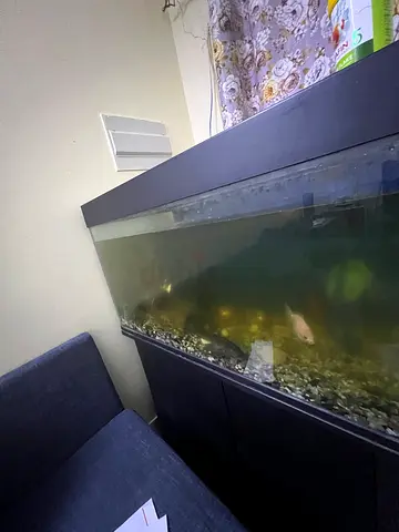 Used aquarium tank with cabinet stand for sale