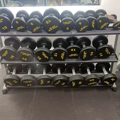 Golds Gym rubber dumbbell set with rack — 4kg to 26kg (used) 10 dirhams per kilo