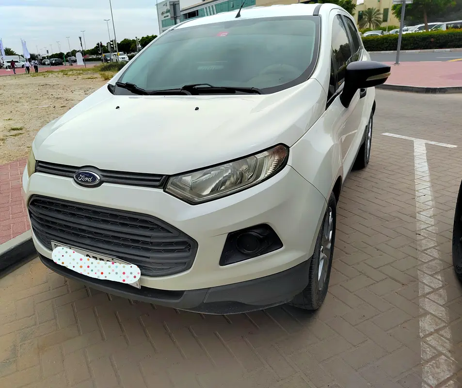 Ford Ecosport 2017 — photo 1 of 4