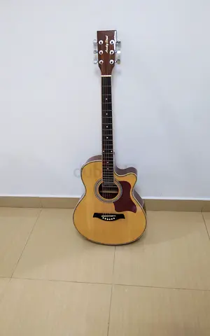 acoustic-electric guitar