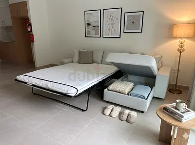 Modern sofa bed with built-in storage, perfect for smart space saving.