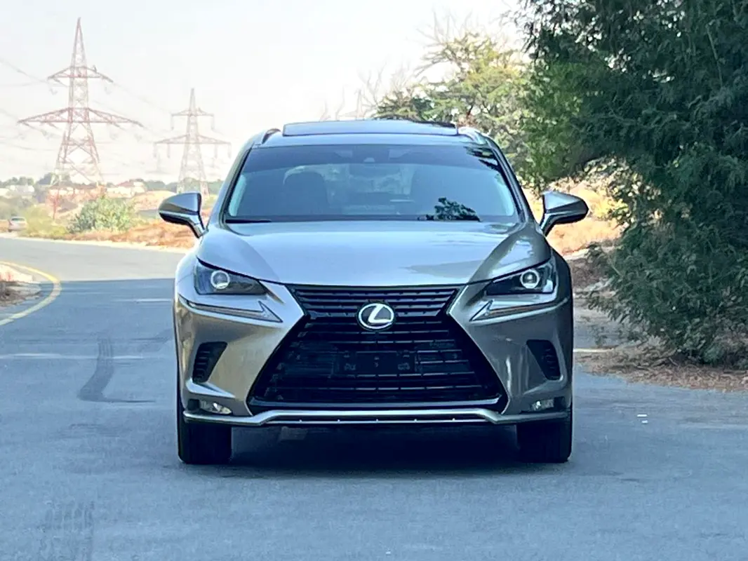 Lexus NX-Series 2020 — photo 1 of 19