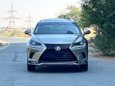 Lexus NX 300 2020 - American Specs - Excellent Condition