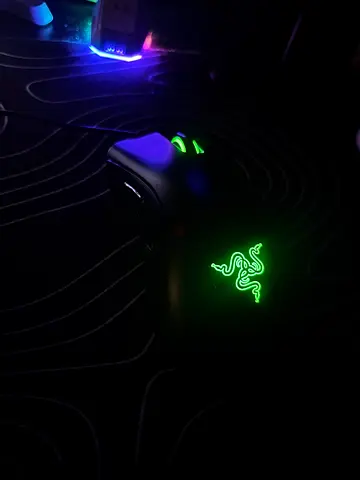 Razer deathadder essential mouse (Black)