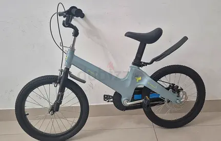 Bicycle for toddler