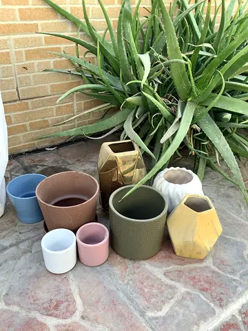 Assorted Small-Medium Plant Pots/Planters – Set for Indoor  Outdoor