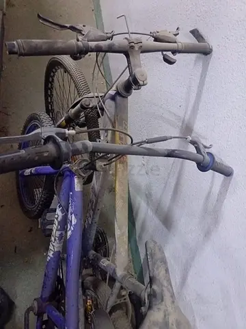 My old mountain bike — dusty, needs servicing (sold as-is)