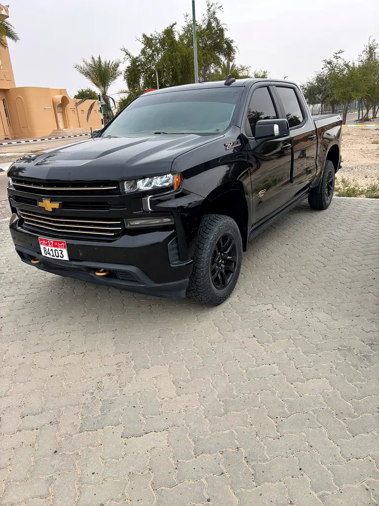 Chevrolet Silverado 2020 — photo 1 of 7