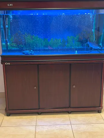 Fish tank for sale