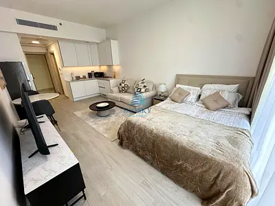 Spacious Studio | Lower Unit | Available Now