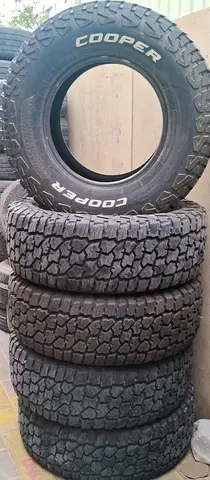 الشارقة السيوح الموردة ثمانية