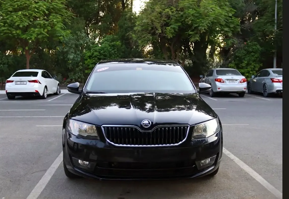 Skoda Octavia 2017 — photo 1 of 19