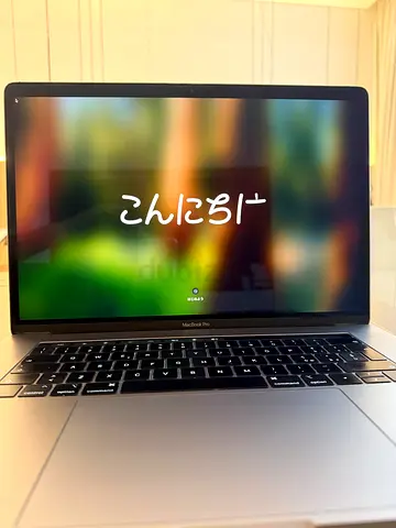 MacBook Pro mid-2019 16” screen