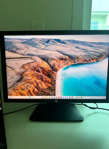 HP monitor